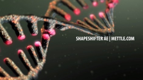 DNA Strand  |  ShapeShifter AE