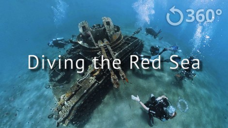 Diving the Red Sea - Underwater 360 Video