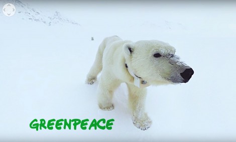 360/VR Journey to the Arctic | Greenpeace